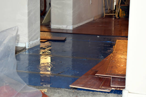 Professional Water Extraction technician working in Summerfield, TX